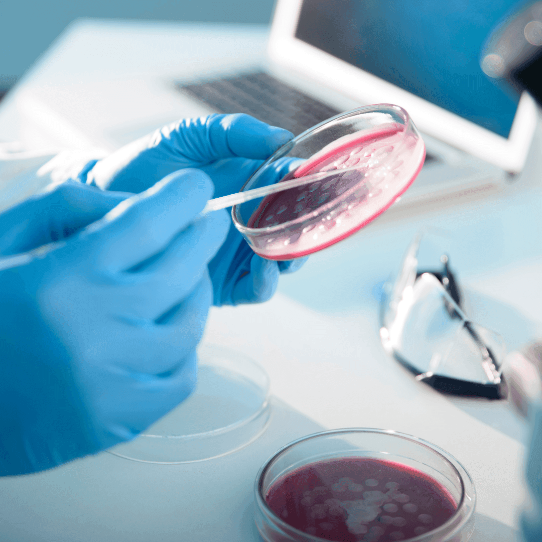 Microbiological purity of the cosmetic product
